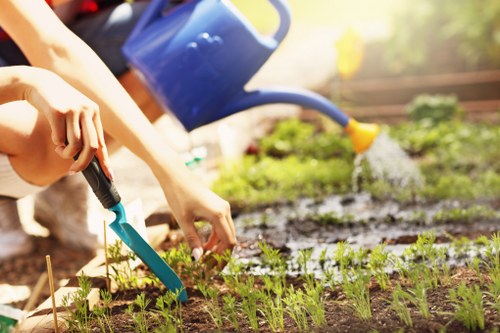 Overgrown garden being cleared in Kingston
