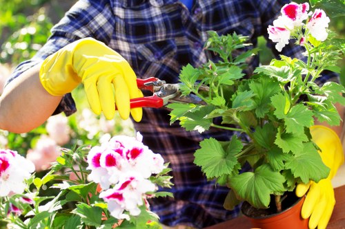 Professional planting services in Kingston for residential landscape improvement