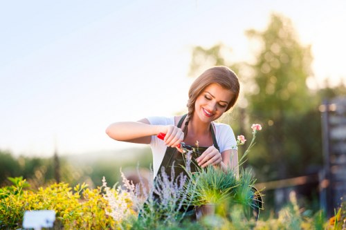 Garden maintenance in Kingston with neat lawn and trimmed borders