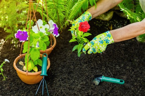 Seasonal plants and evergreen shrubs in a Kingston landscape garden