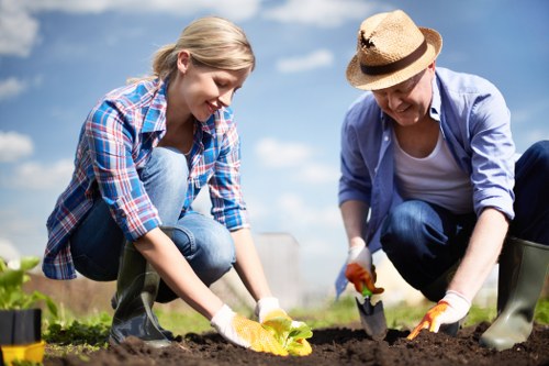 Waste and debris removal from a Kingston garden