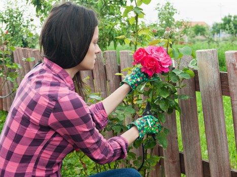 Professional fence repairs in Kingston for posts, panels, and gates