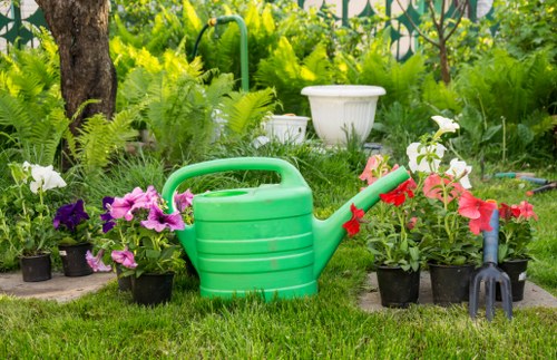 Aeration and soil improvement for a Kingston yard
