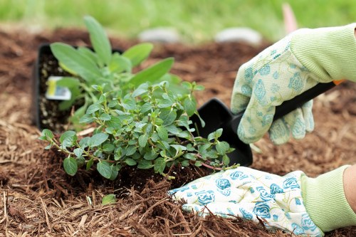 Seasonal lawn care in Kingston with fresh grass growth