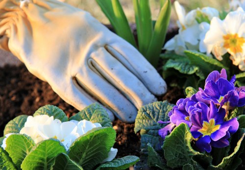Professional landscaping in Kingston with garden beds and lawn