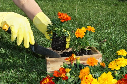 Insured rubbish company completing safe and professional site clearance