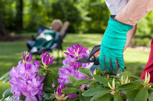Seasonal lawn care and mowing conditions in Kingston