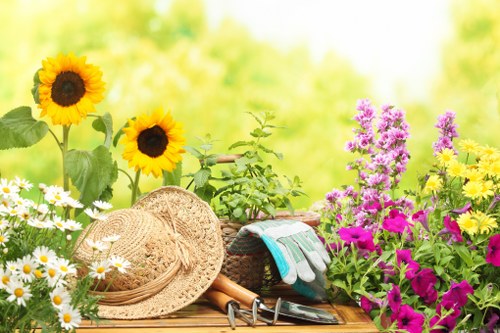 Eco-friendly garden maintenance in Kingston with sustainable planting