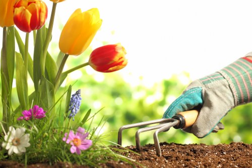 Weed control and plant health in a Kingston garden