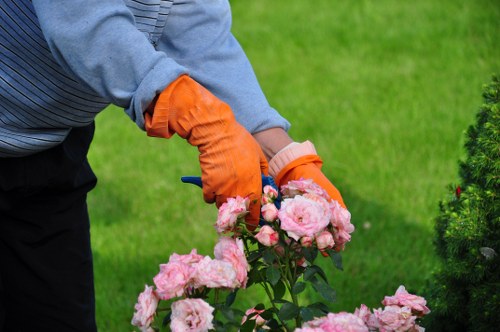 Tidy hedge maintenance improving a Kingston property frontage