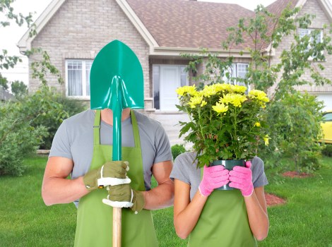 Finished hedge trimming result for a Kingston home or business