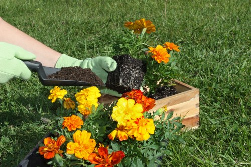 Safe and durable decking services in Kingston