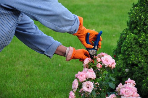 Soft landscaping with plants and shrubs in a Kingston garden