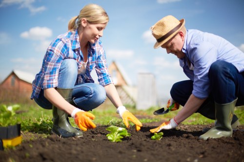 Commercial property landscaping and planting services in Kingston
