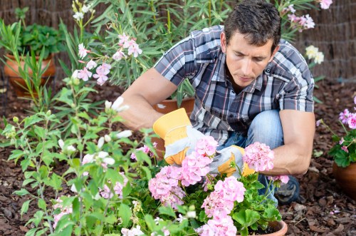 Soil care mulch and feeding for garden maintenance in Kingston