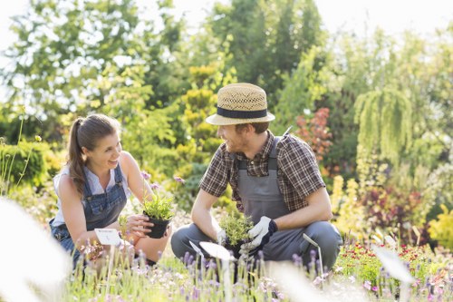 Hardscaping and planting features in a Kingston yard