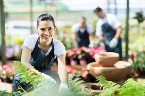 Inclusive website experience for Kingston landscaping services